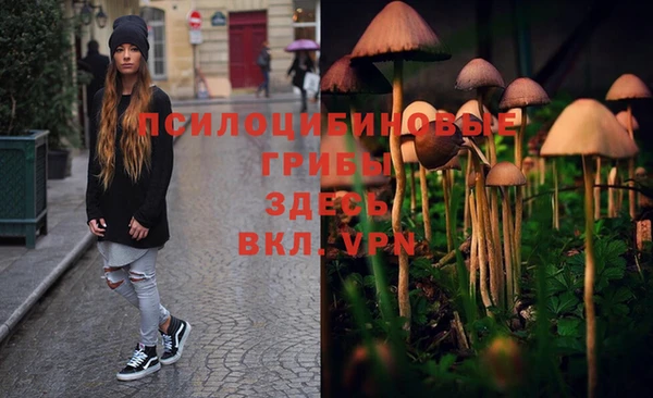 мескалин Аркадак
